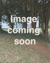 Image Coming Soon